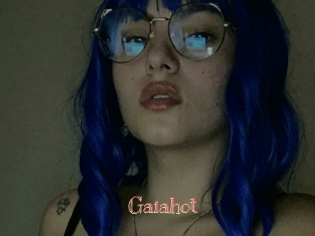 Gaiahot