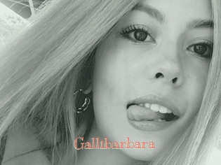 Gallibarbara
