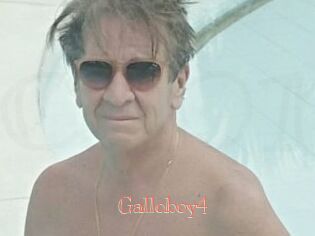 Galloboy4