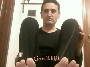 Garfild18