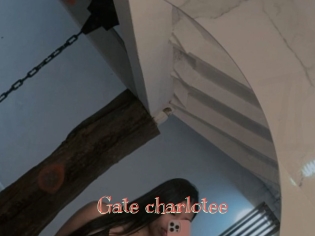 Gate_charlotee