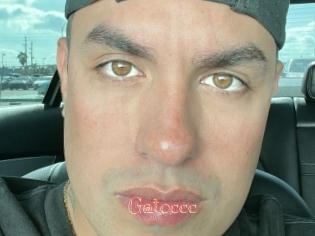 Gatoccc