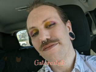 Gatorcatnb