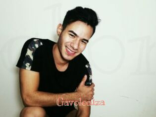 Gavoloaiza