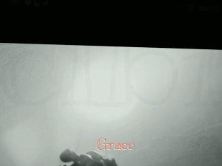 graco Celebrix
