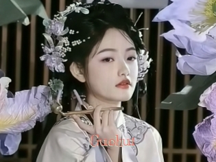 Guohui