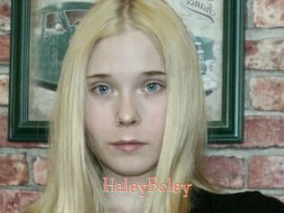 HaleyBoley