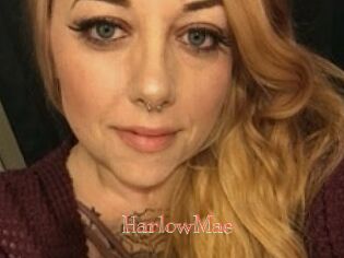 Harlow_Mae