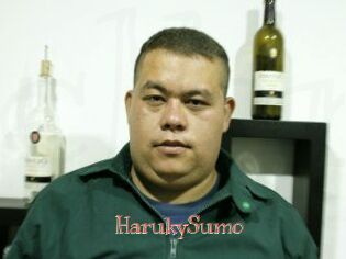 Haruky_Sumo