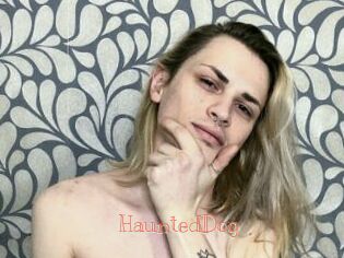 HauntedDog Celebrix