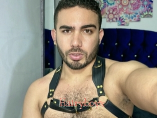 Hairyboyx