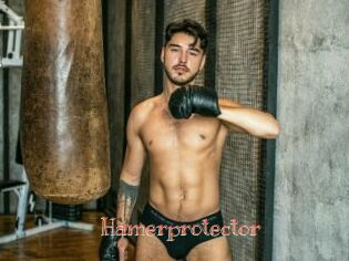 Hamerprotector
