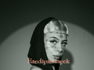 Handipandapok