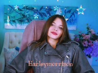 Harleymorrison