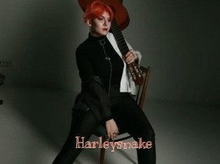 Harleysnake