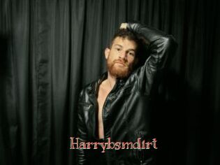harrybsmdirt Celebrix