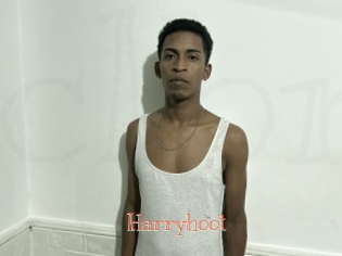 Harryhoot
