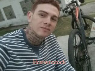 Homerocock