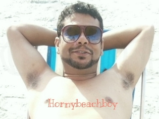 Hornybeachboy