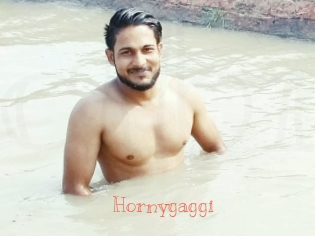 Hornygaggi