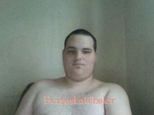 Horsesbatchelor