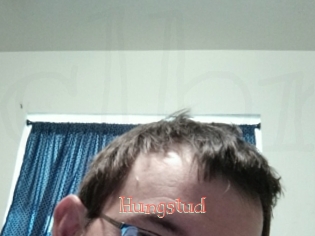 Hungstud
