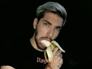 Itsgelviz