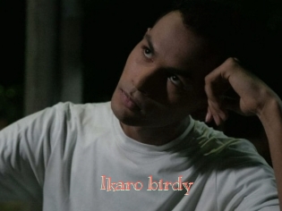 Ikaro_birdy