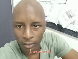 Jacaranda