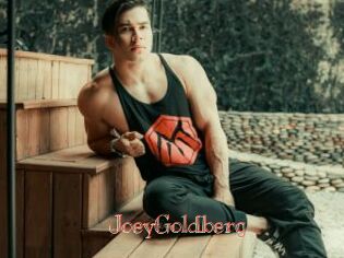 JoeyGoldberg