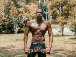 JoshMegans Celebrix