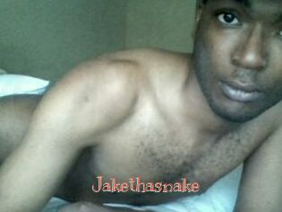 Jake_tha_snake