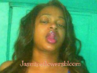 jasmineflowersbloom Celebrix