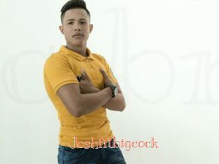 Joshfitbigcock