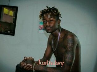 Justinkey