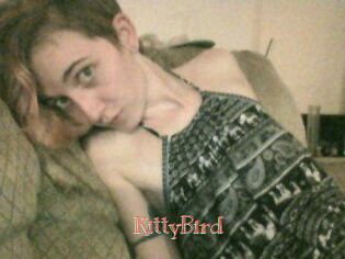 KittyBird