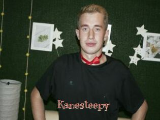 Kanesteepy