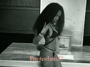 Kaninchen23