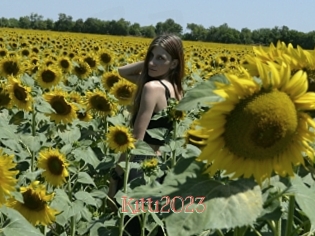 Kitti2023