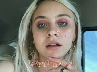 Kittysplaypen18