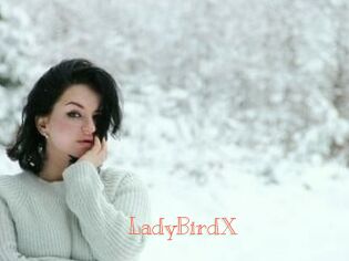 LadyBirdX