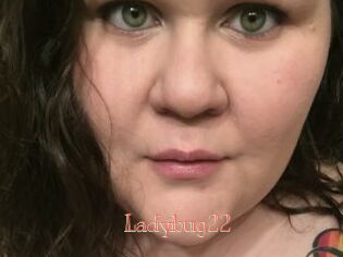 Ladybug22