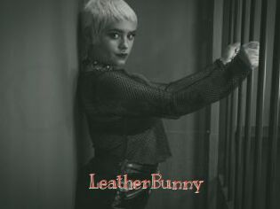 LeatherBunny