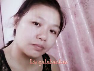 Lingalabaobao