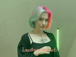 Lanitagriesbach