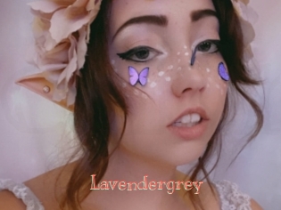 Lavendergrey