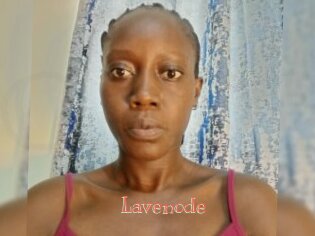 Lavenode