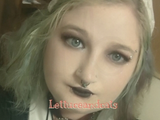 Lettuceandcats