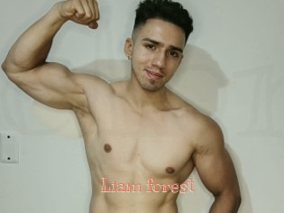 Liam_forest