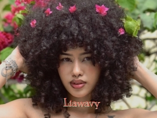 liawavy Celebrix